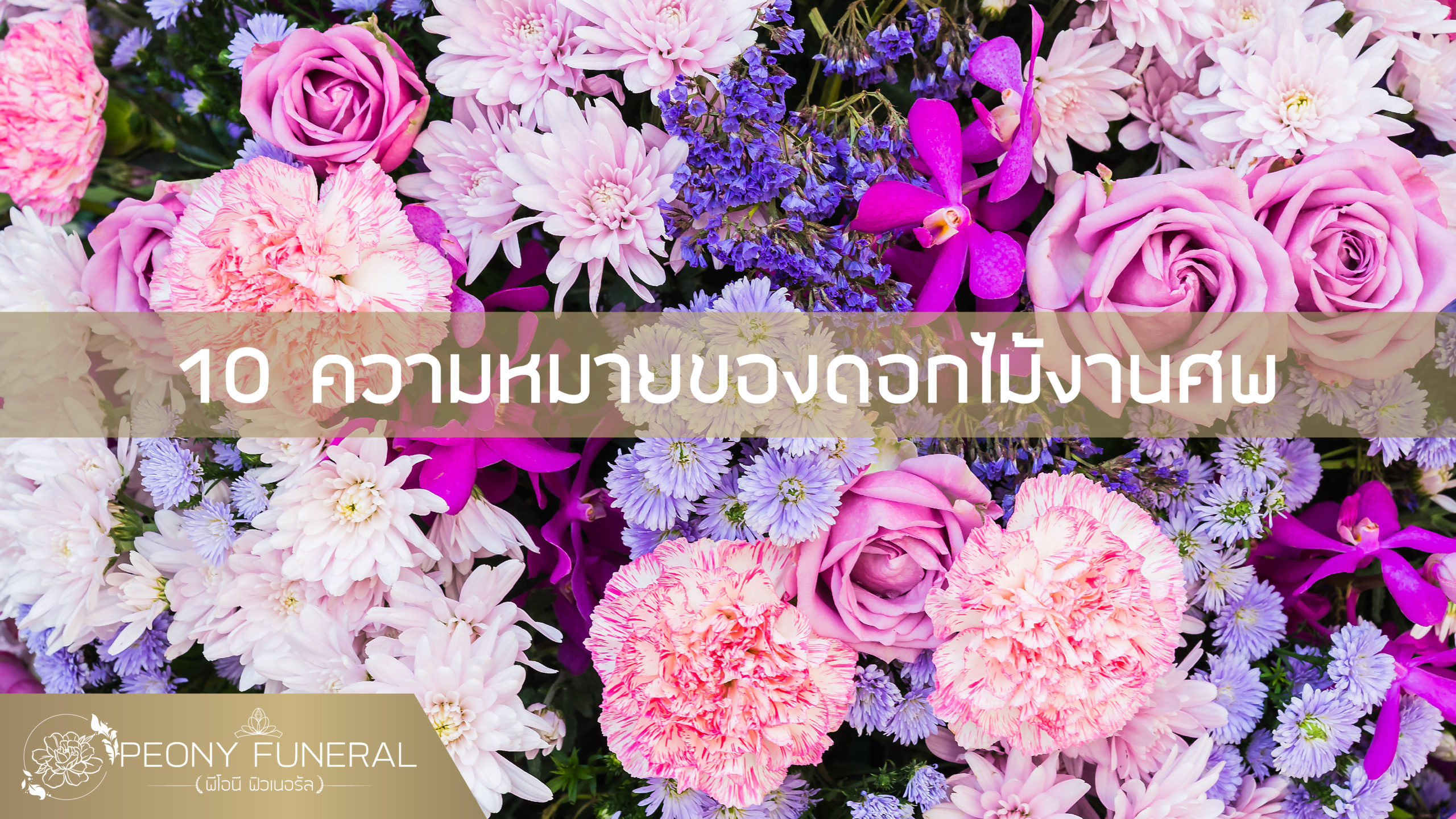 ความหมายของดอกไม้